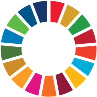 UN sustainability development goals